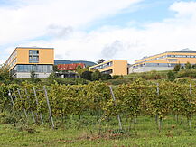 Schulkomplex