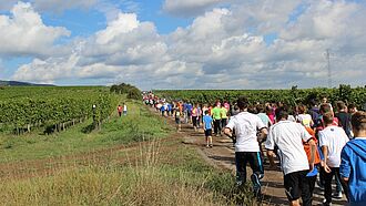 Spendenlauf durch den Wingert